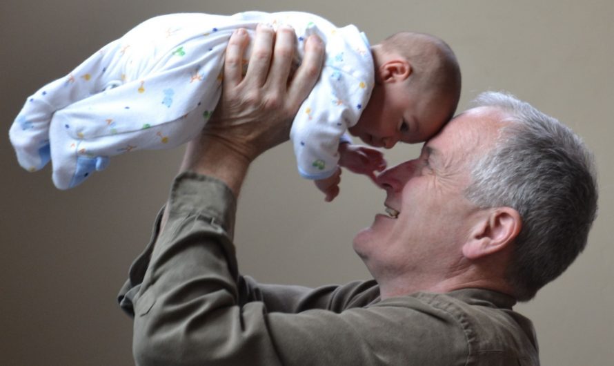 குருத்து ஓலை, பழுத்த ஓலை