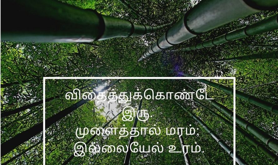 வேடந்தாங்கல் (Vedanthangal)