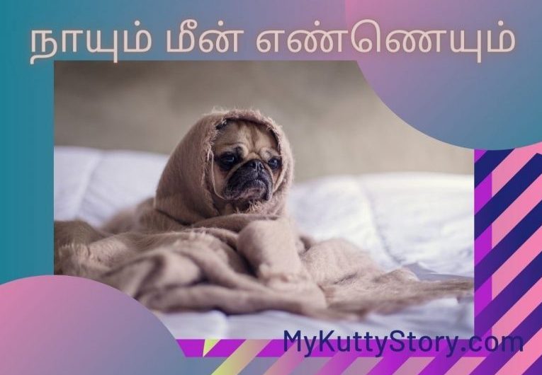 நாயும் மீன் எண்ணையும் (Nayum Meen Ennaiyum)