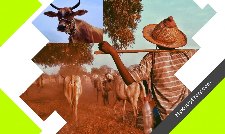 கூட்டுங்கடா பஞ்சாயத்த (Kootungada Panjayatha)