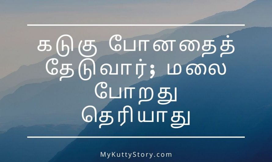 கடுகு போனதைத் தேடுவார்; மலை போறது தெரியாது