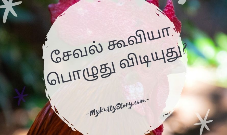 சேவல் கூவியா பொழுது விடியுது? (Seval Kooviyaa Pozhuthu Vidiyuthu?)