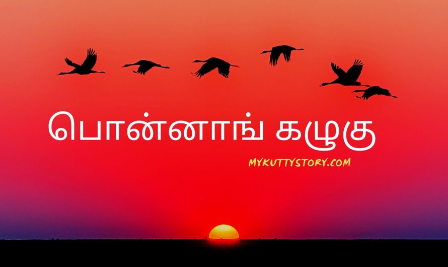 பொன்னாங் கழுகு (The Golden Eagle)